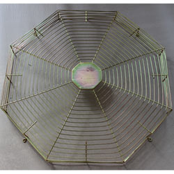 Octagonal Type Guard